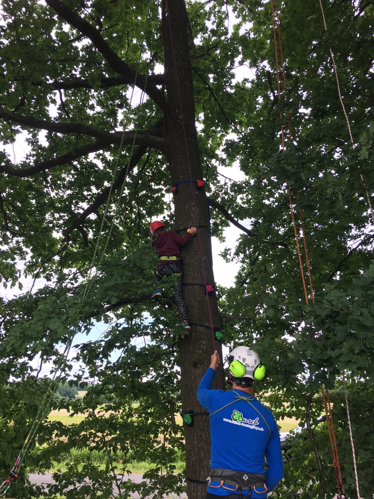 Kinderklettern mit Tree Monkey Klettergriffen - Busch Baumpflege