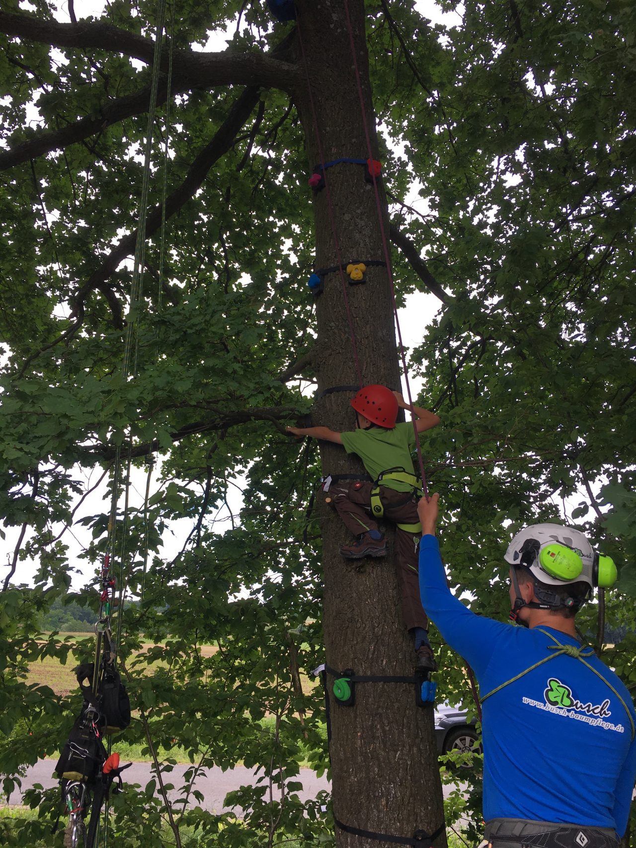 Baumklettern mit Tree Monkey Klettergriffen - Busch Baumpflege