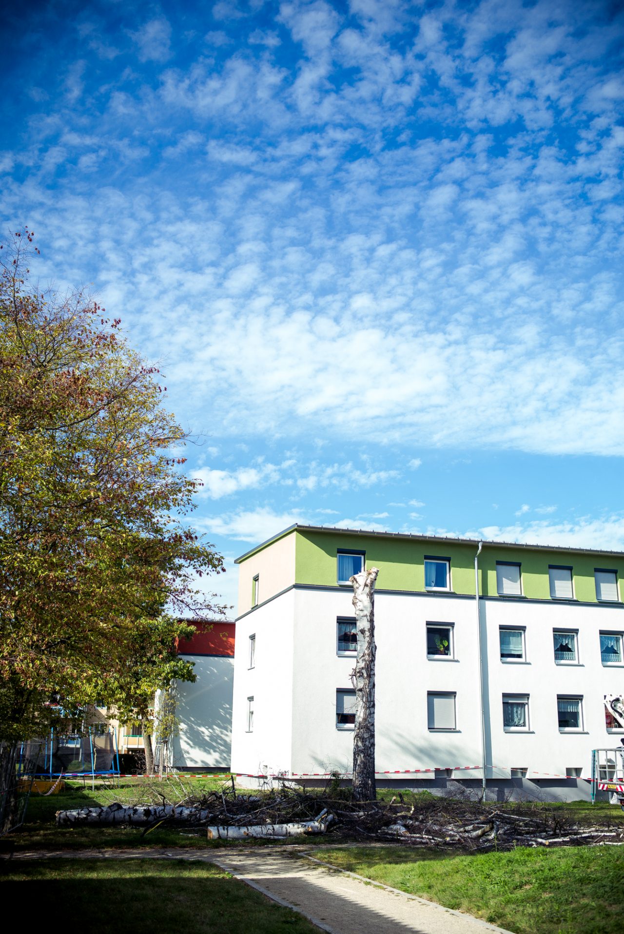 Baumfällung in Forchheim - Busch Baumpflege