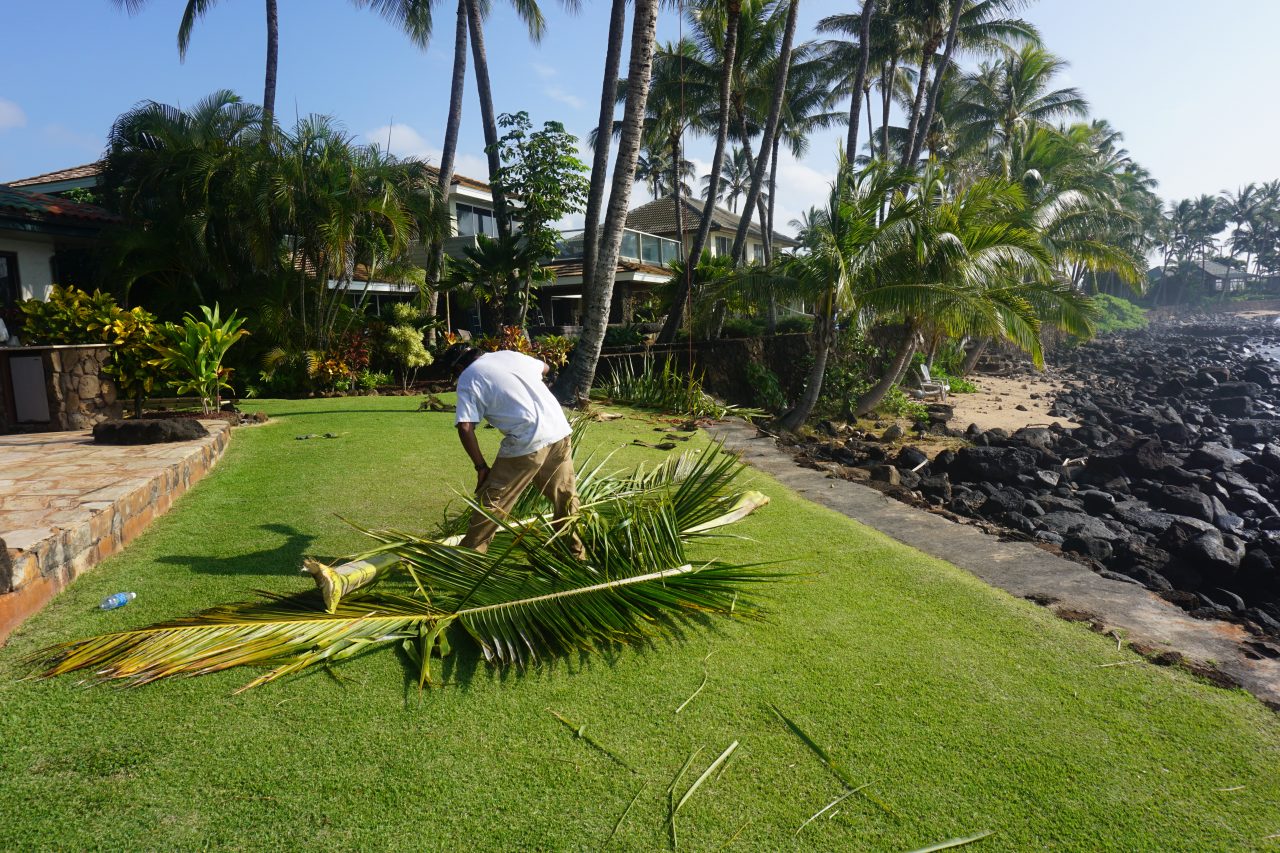 Albert Rincon at work